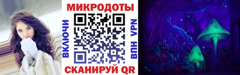 Псилоцибиновые грибы Psilocybe Купить где Гаврилов-Ям